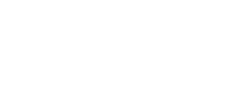 New castle united logo